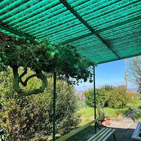Apartma Korelc Koper Exteriör bild