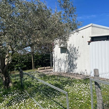 Apartma Korelc Koper Exteriör bild