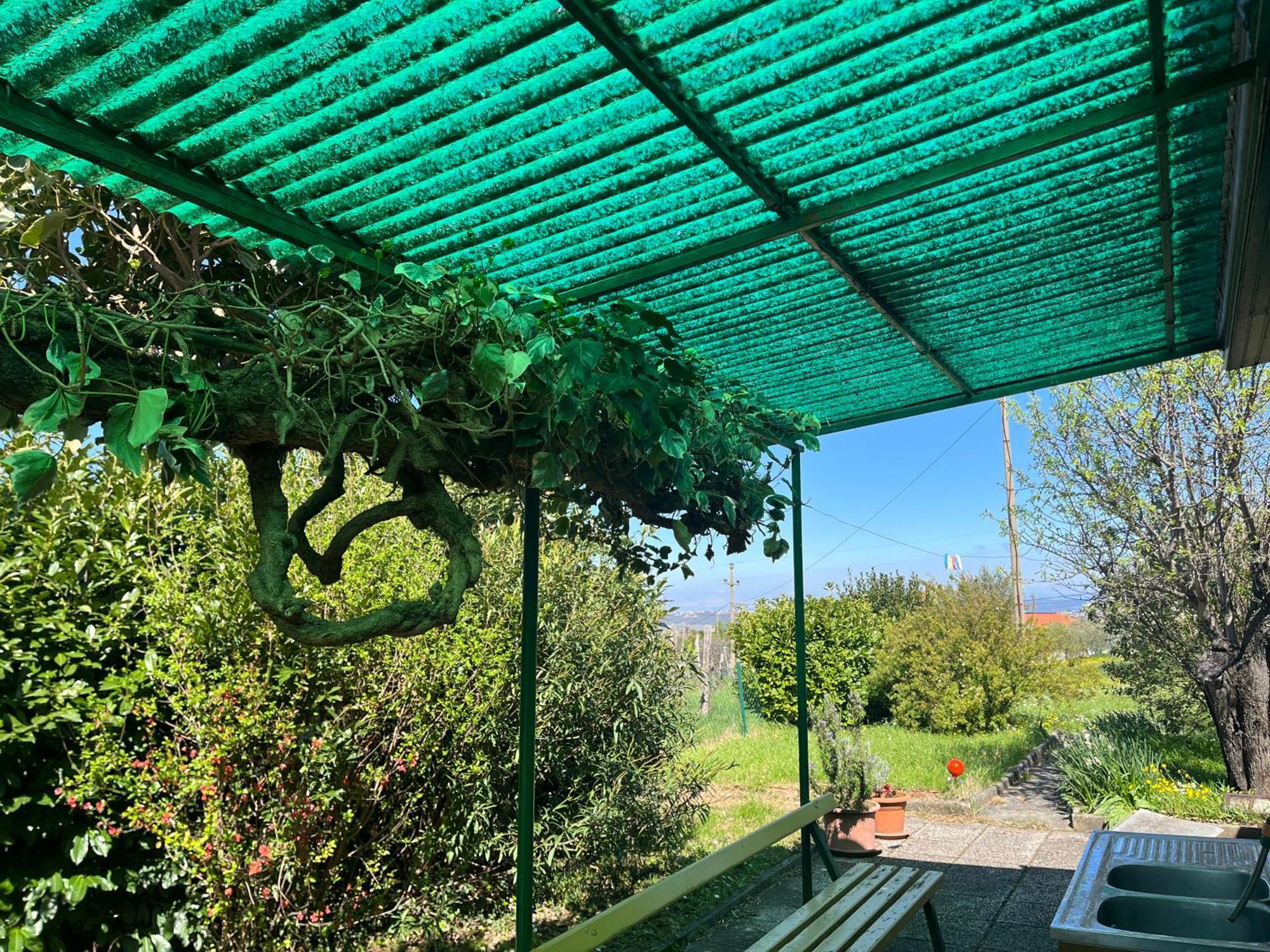 Apartma Korelc Koper Exteriör bild